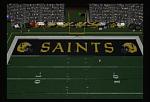 Saints Endzone Photo (NFL 2K5)