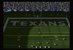 Texans Endzone Photo (NFL 2K5)