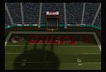 Chiefs Endzone Photo (NFL 2K5)