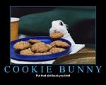 cookie bunny