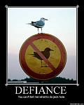 definance